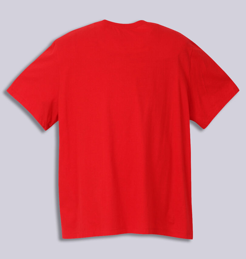 大きいサイズ メンズ NIKE (ナイキ) 半袖Tシャツ
バックスタイル