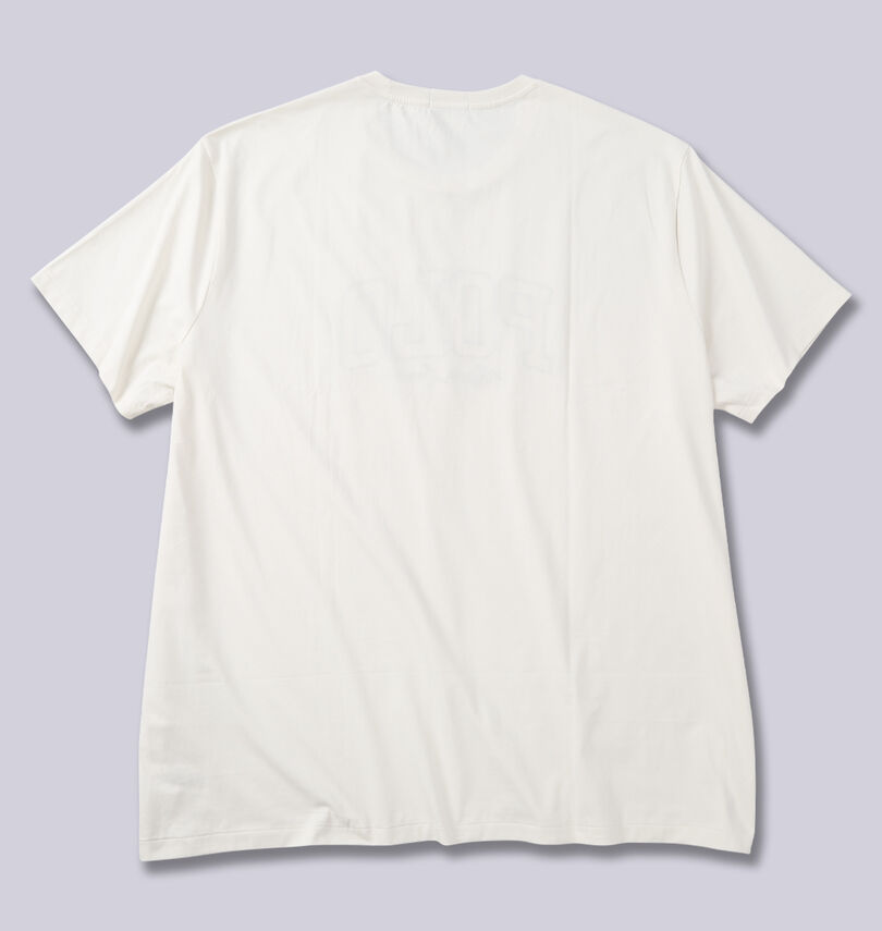 大きいサイズ メンズ RALPH LAUREN (ラルフローレン) 半袖Tシャツ
バックスタイル
