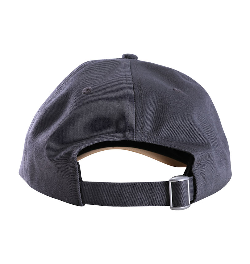 大きいサイズ メンズ Columbia (コロンビア) サーモンパスキャップ
                        バックスタイル