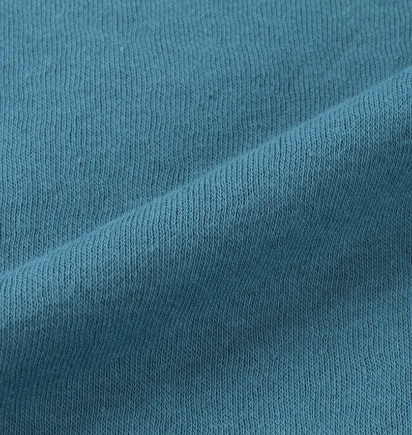 大きいサイズ メンズ THE NORTH FACE (ザ・ノース・フェイス) プルパーカー
                        生地拡大