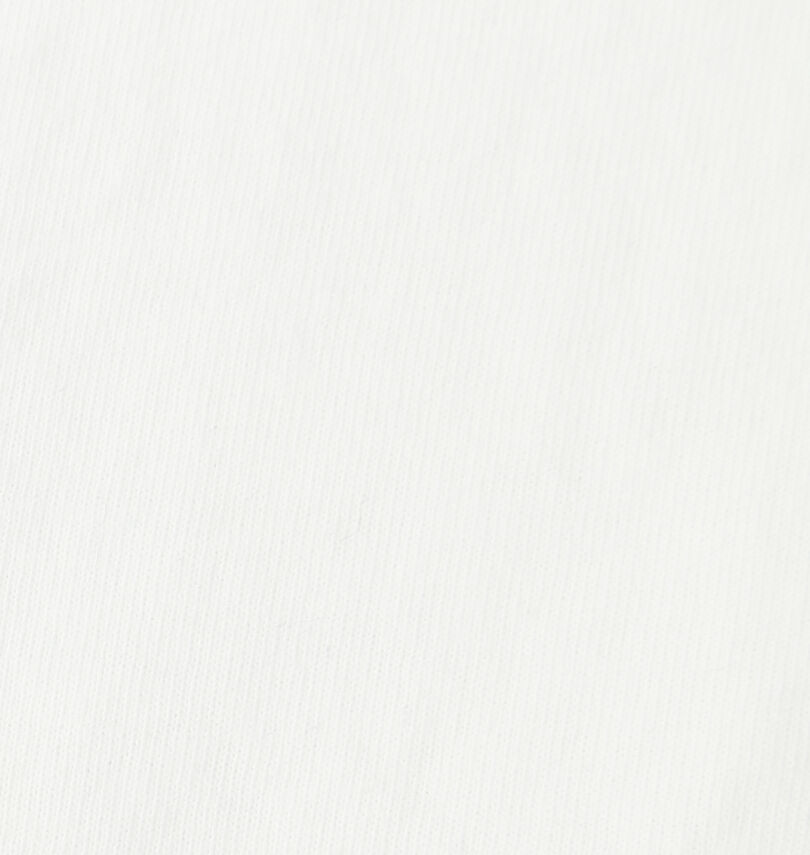 大きいサイズ メンズ FLAGSTAFF×PEANUTS (フラッグスタッフ) スヌーピーコラボ半袖Tシャツ
                        生地拡大