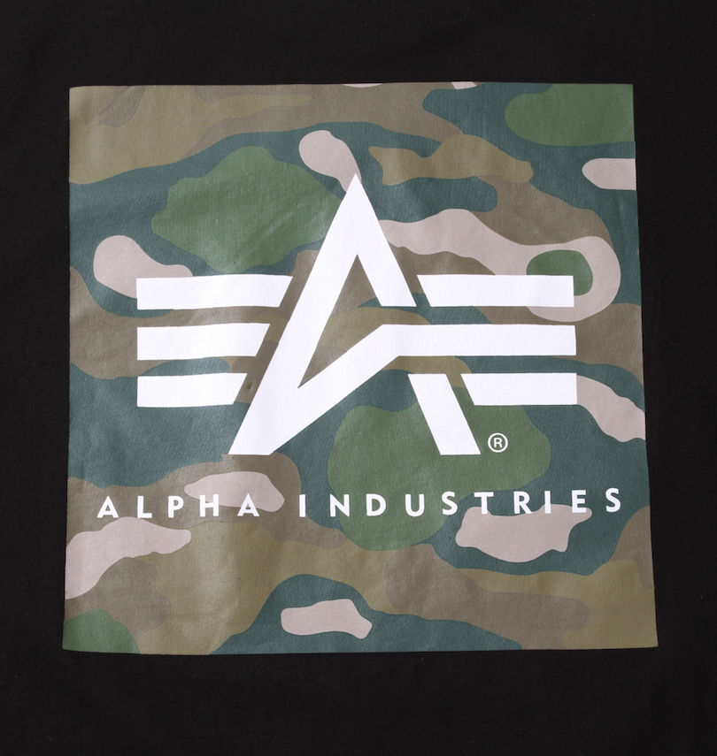 大きいサイズ メンズ ALPHA INDUSTRIES (アルファ インダストリーズ) BOX FLYING A-MARKバックプリント半袖Tシャツ バックプリント