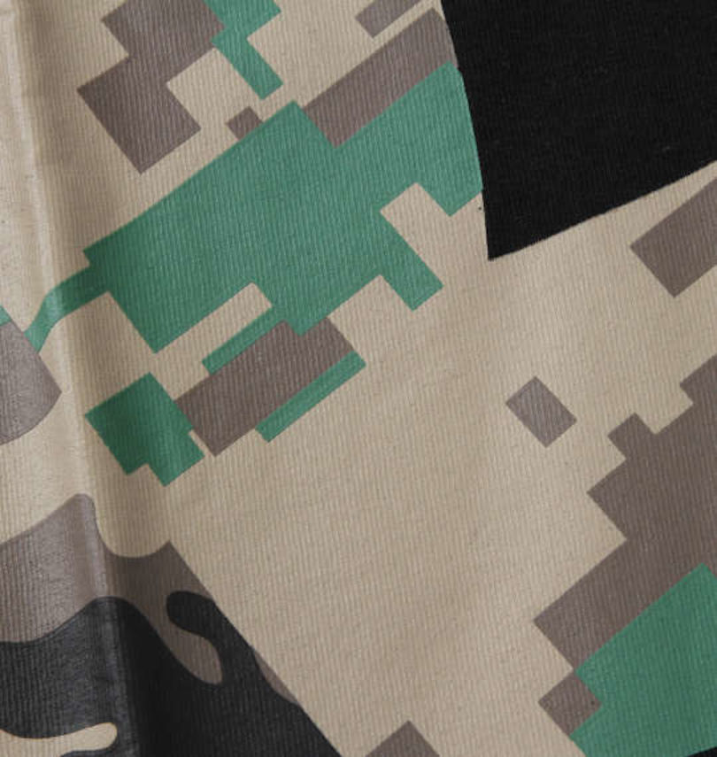 大きいサイズ メンズ DCSHOES (ディーシーシューズ) 半袖Tシャツ
プリント拡大