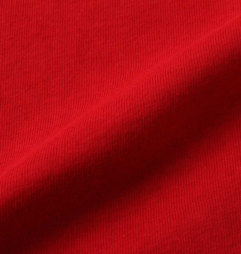 大きいサイズ メンズ PeKo&PoKo (ペコ アンド ポコ) プリント半袖Tシャツ
                        生地拡大