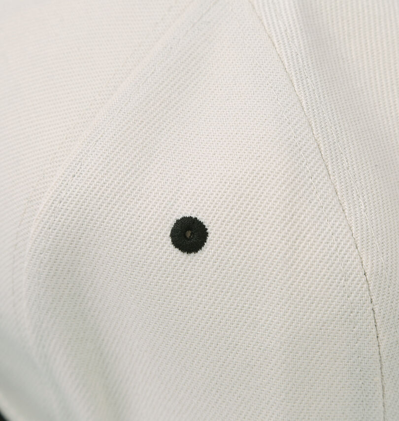 大きいサイズ メンズ DCSHOES (ディーシーシューズ) 26GRAFFITI EMB SNAPBACKキャップ