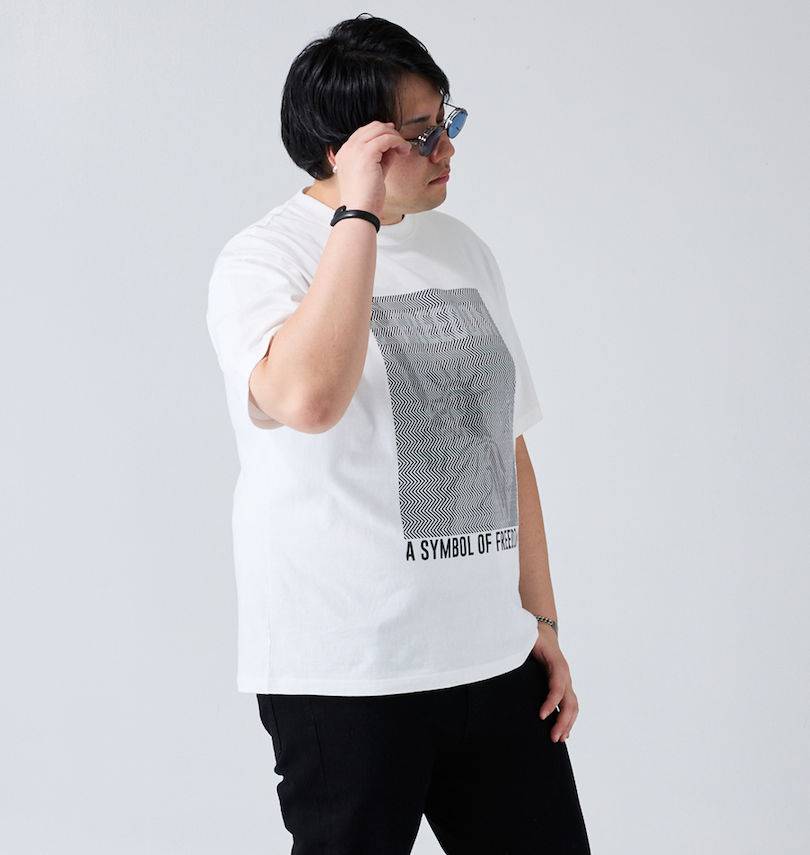 大きいサイズ メンズ RIMASTER VISION (リマスター ビジョン) 天竺トリックアート半袖Tシャツ 