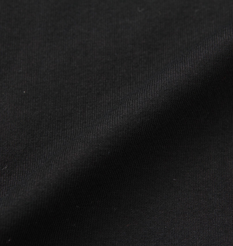 大きいサイズ メンズ SOUL SPORTS×新日本プロレス (ソウル×シンニホンプロレス) 大判ロゴ半袖Tシャツ 生地拡大