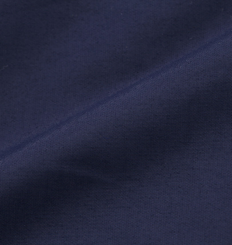 大きいサイズ メンズ THE NORTH FACE (ザ・ノース・フェイス) ダウンジャケット
                        生地拡大