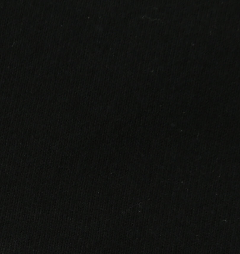 大きいサイズ メンズ 絡繰魂抜刀娘 (カラクリタマシイバットウムスメ) 凛RIDE半袖Tシャツ
                        生地拡大