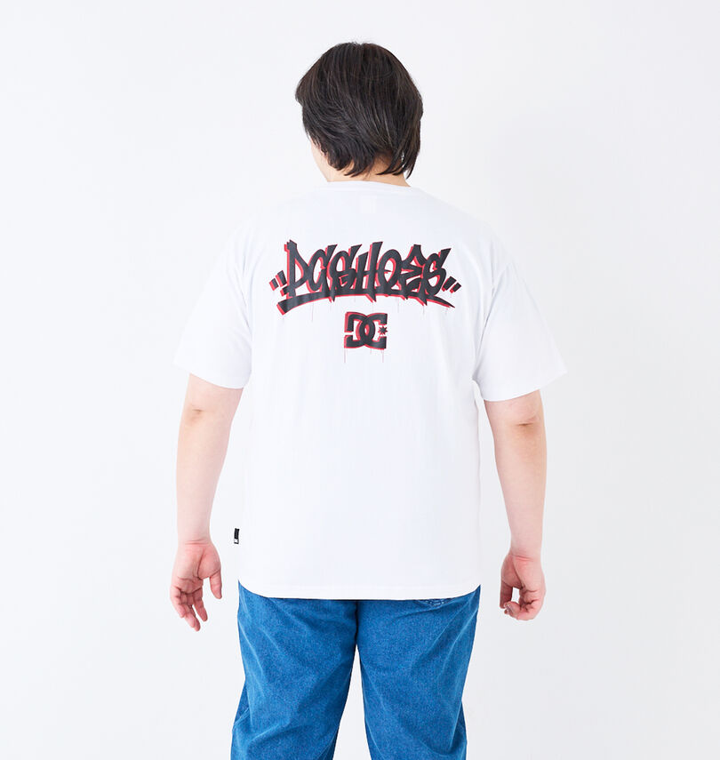 大きいサイズ メンズ DCSHOES (ディーシーシューズ) 25GRAFFITTI半袖Tシャツ
身長:182cm/バスト:123cm/着用サイズ:3L
