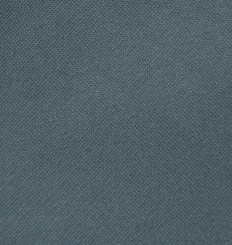 大きいサイズ メンズ ELEMENT (エレメント) TREEユーティリティ半袖シャツ
生地拡大