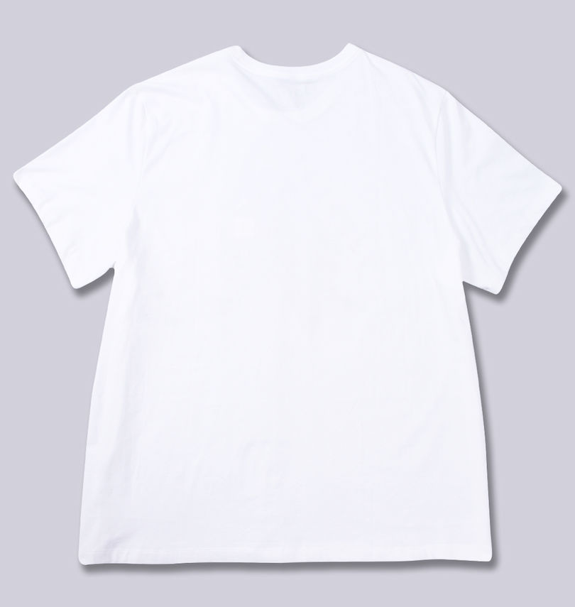 大きいサイズ メンズ JORDAN (エアジョーダン) 半袖Tシャツ
                        バックスタイル