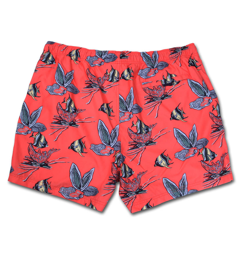 大きいサイズ メンズ NAUTICA (ノーティカ) スイムパンツ
                        バックスタイル