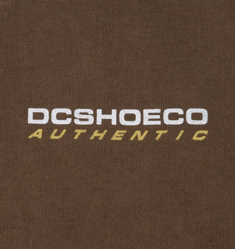 大きいサイズ メンズ DCSHOES (ディーシーシューズ) 長袖Tシャツ
フロントプリント
