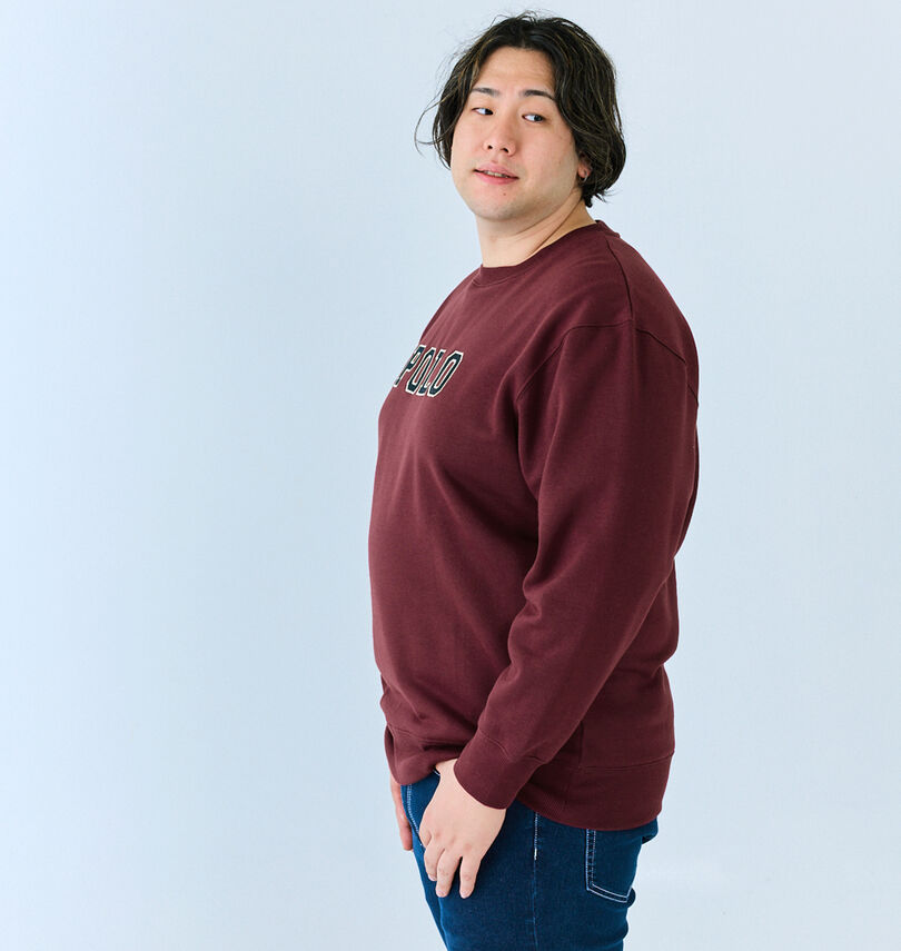 大きいサイズ メンズ POLO BCS (ポロビーシーエス) 裏起毛ロゴクルートレーナー