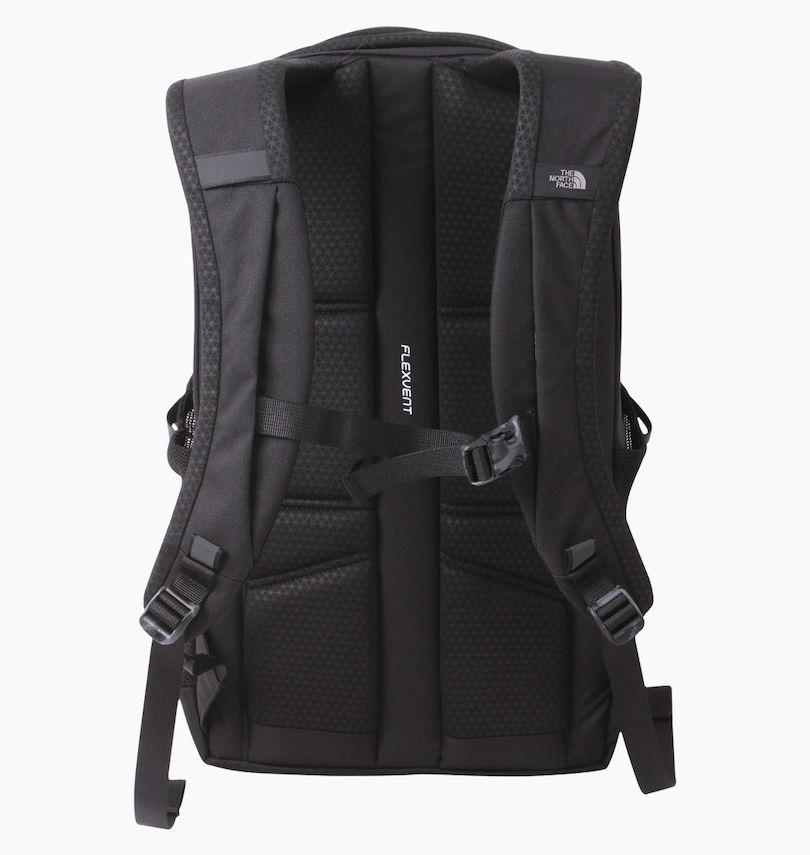 大きいサイズ メンズ THE NORTH FACE (ザ・ノース・フェイス) バックパック
                        バックスタイル