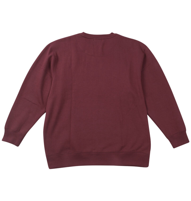 大きいサイズ メンズ POLO BCS (ポロビーシーエス) 裏起毛ロゴクルートレーナー
バックスタイル