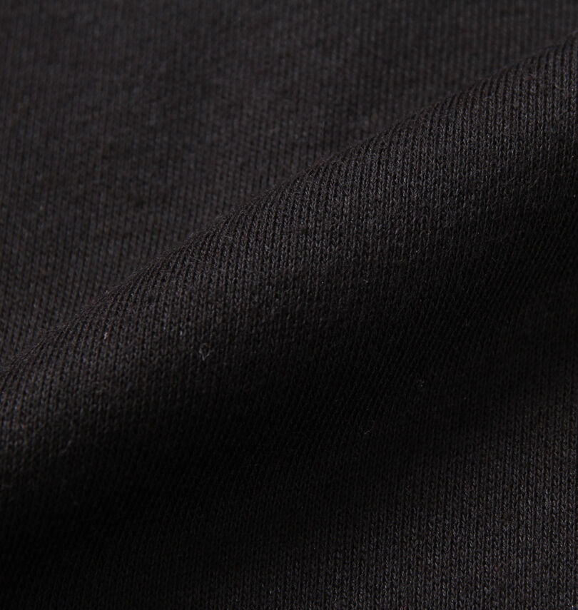 大きいサイズ メンズ 新日本プロレス (シンニホンプロレス) フルジップパーカー
                        生地拡大