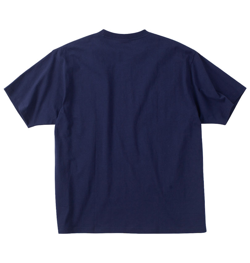 大きいサイズ メンズ THRASHER (スラッシャー) veins comp半袖Tシャツ バックスタイル