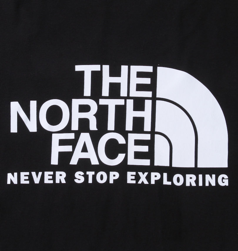 大きいサイズ メンズ THE NORTH FACE (ザ・ノース・フェイス) 長袖Tシャツ 