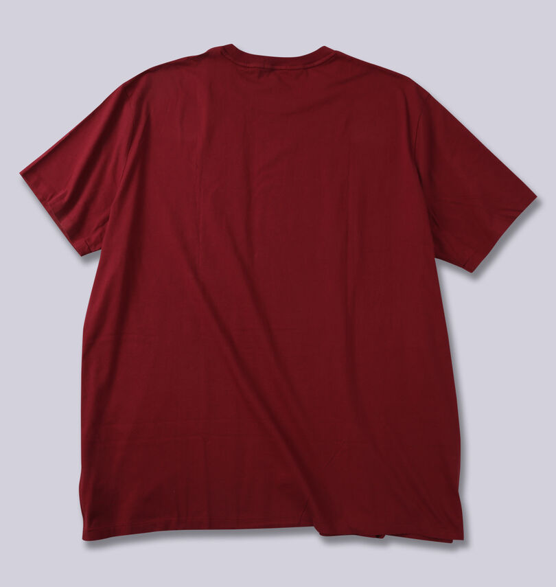大きいサイズ メンズ RALPH LAUREN (ラルフローレン) 半袖Tシャツ
                        バックスタイル