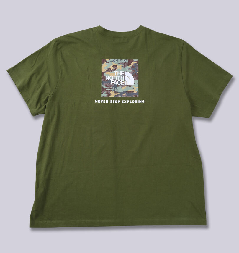 大きいサイズ メンズ THE NORTH FACE (ザ・ノース・フェイス) 半袖Tシャツ
                        バックスタイル