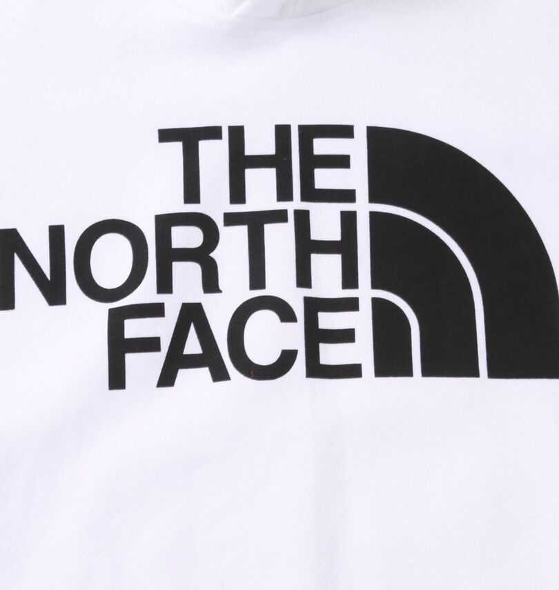 大きいサイズ メンズ THE NORTH FACE (ザ・ノース・フェイス) プルパーカー
