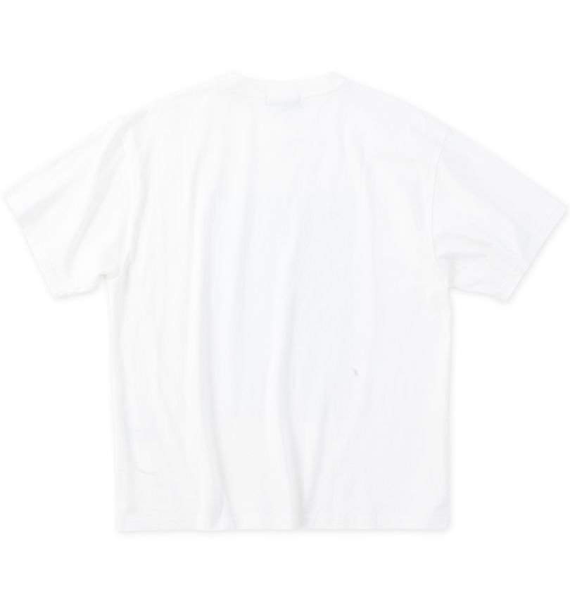 大きいサイズ メンズ RIMASTER VISION (リマスター ビジョン) 天竺トリックアート半袖Tシャツ バックスタイル