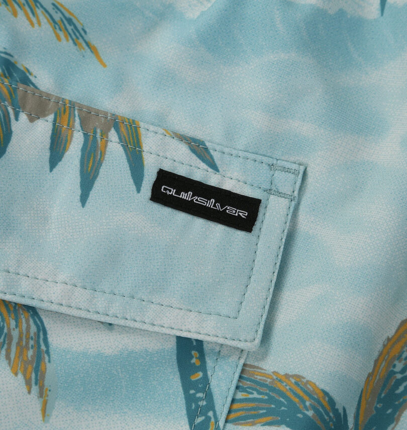 大きいサイズ メンズ Quiksilver (クイックシルバー) SUNDOWN VOLLEY 20NS水陸両用ショーツ
                        