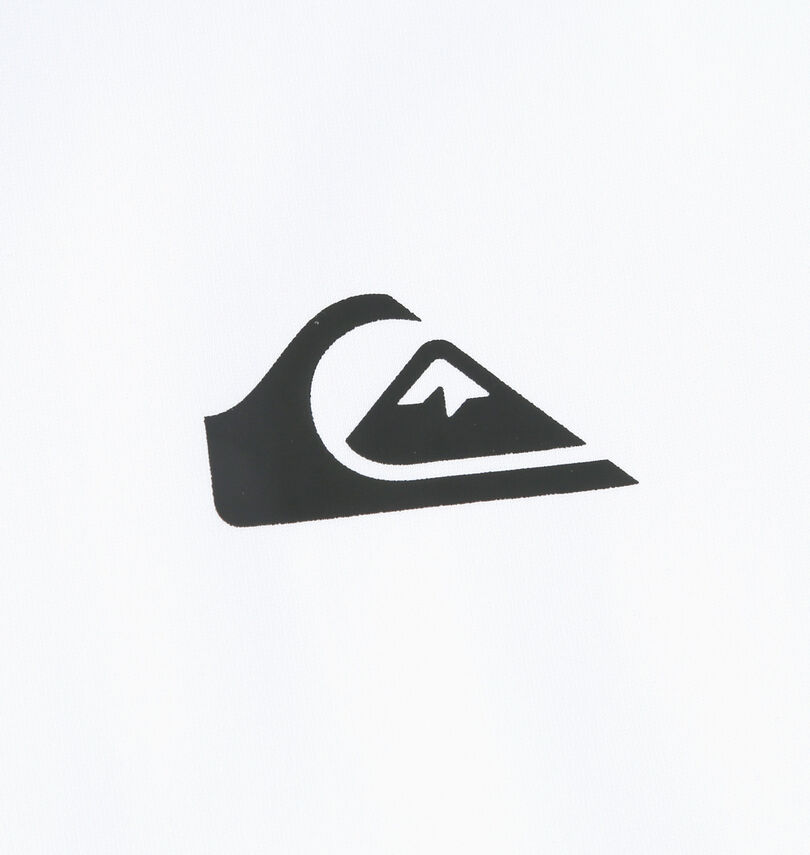 大きいサイズ メンズ Quiksilver (クイックシルバー) OMNI MW長袖ラッシュガードジップパーカー
                        プリント