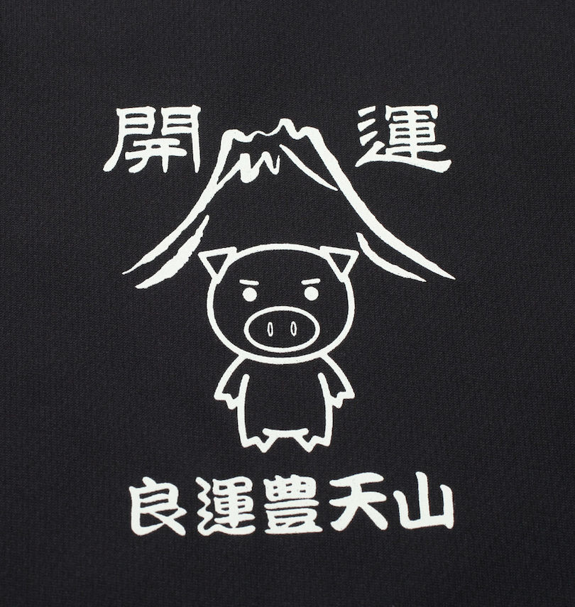 大きいサイズ メンズ 豊天 (ブーデン) 特盛美豚DRYハニカムメッシュ半袖Tシャツ+ハーフパンツ 胸プリント