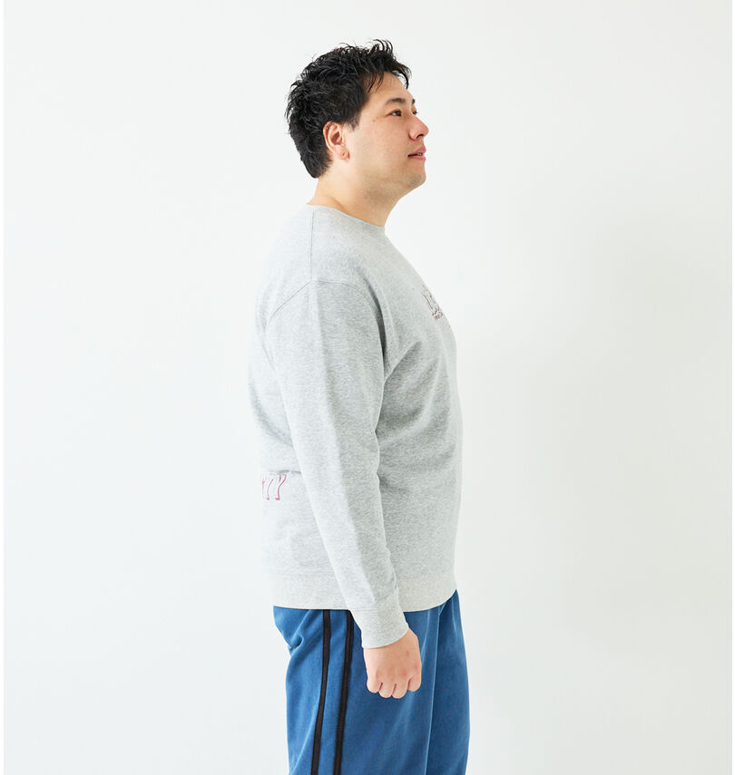 大きいサイズ メンズ RUSTY (ラスティ) 裏毛クルースウェット