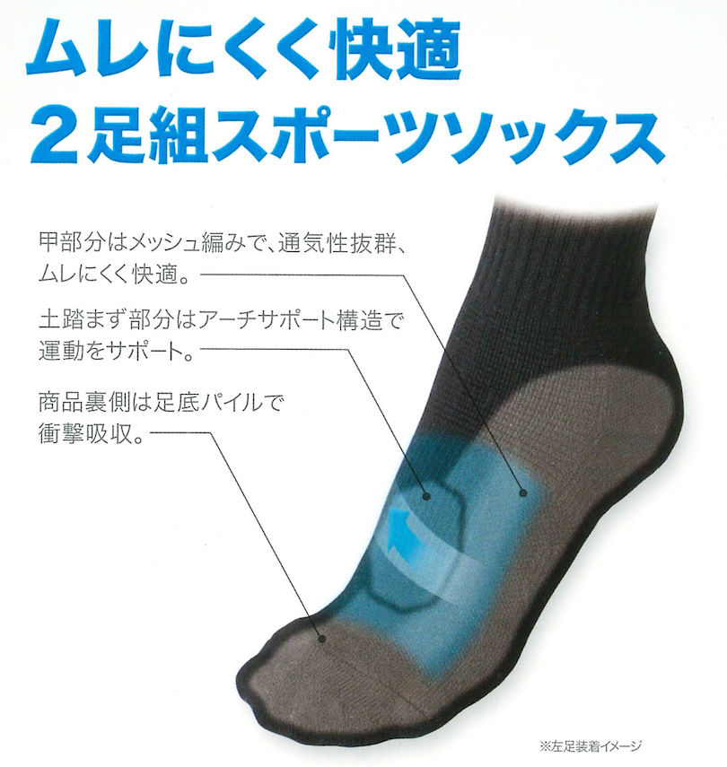 大きいサイズ メンズ Phiten (ファイテン) 2Pセミロングソックス
                        