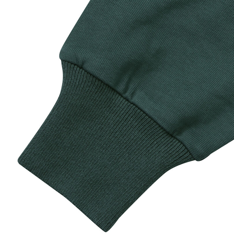 大きいサイズ メンズ canterbury (カンタベリー) NZ TIPE長袖ラグビージャージ
                        袖