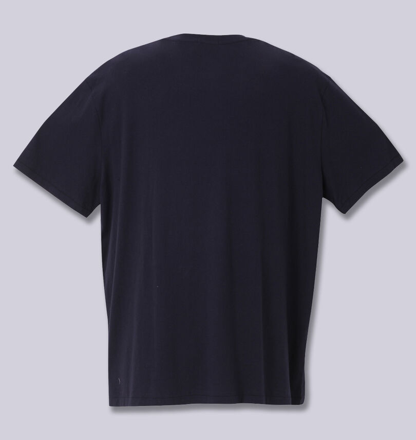 大きいサイズ メンズ RALPH LAUREN (ラルフローレン) 半袖Tシャツ
                        バックスタイル