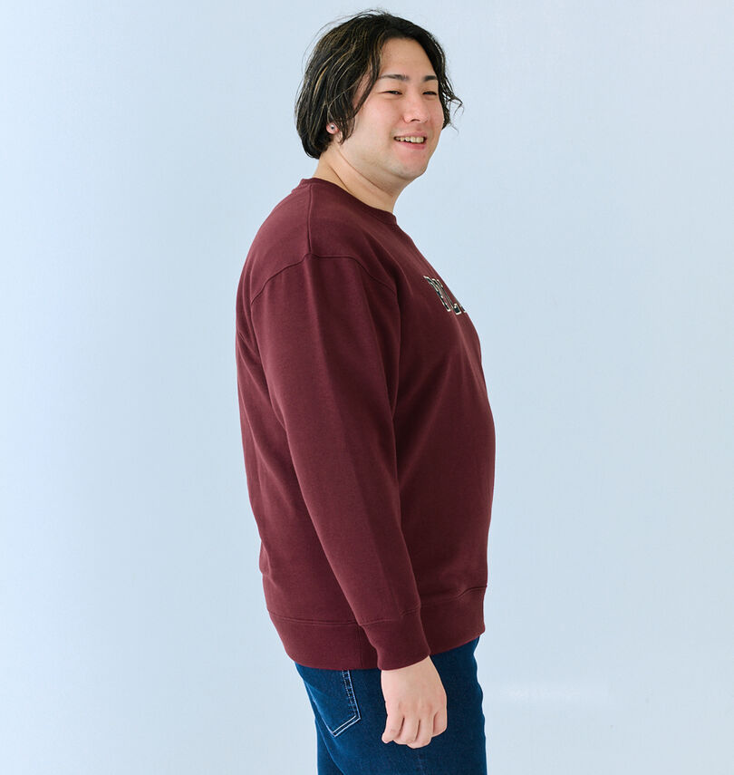 大きいサイズ メンズ POLO BCS (ポロビーシーエス) 裏起毛ロゴクルートレーナー