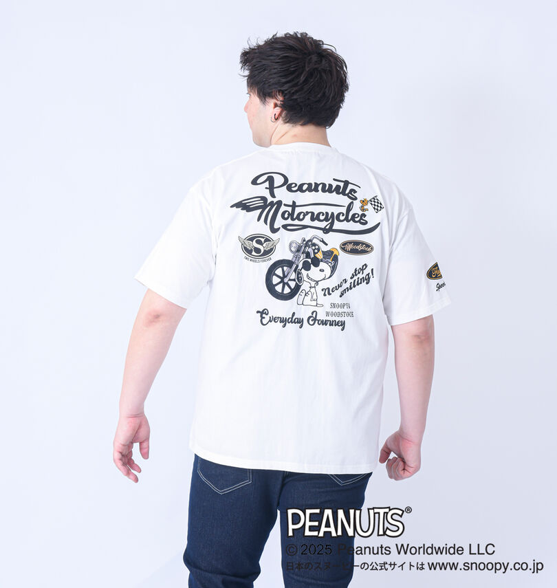大きいサイズ メンズ FLAGSTAFF×PEANUTS (フラッグスタッフ) スヌーピーコラボ半袖Tシャツ
                        身長：182cm/バスト：123cm/着用サイズ：3L