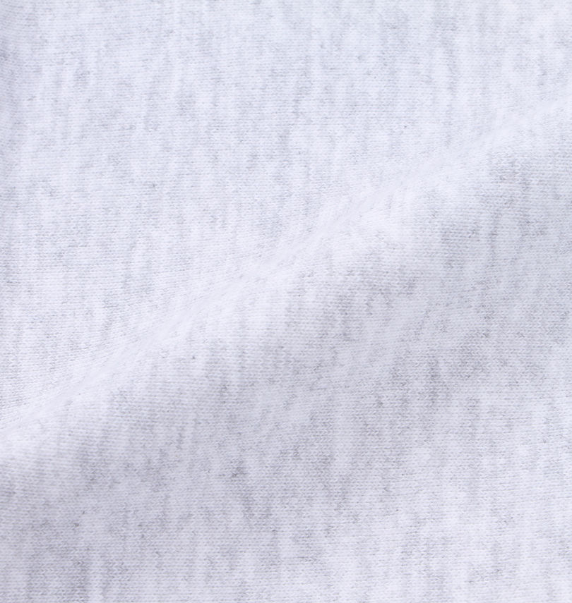 大きいサイズ メンズ STUSSY (ステューシー) クルートレーナー
                        生地拡大