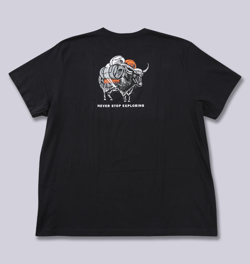 大きいサイズ メンズ THE NORTH FACE (ザ・ノース・フェイス) 半袖Tシャツ
バックスタイル
