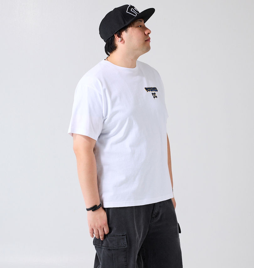 大きいサイズ メンズ DCSHOES (ディーシーシューズ) 24 TAKEEE8 GRAFF FT半袖Tシャツ