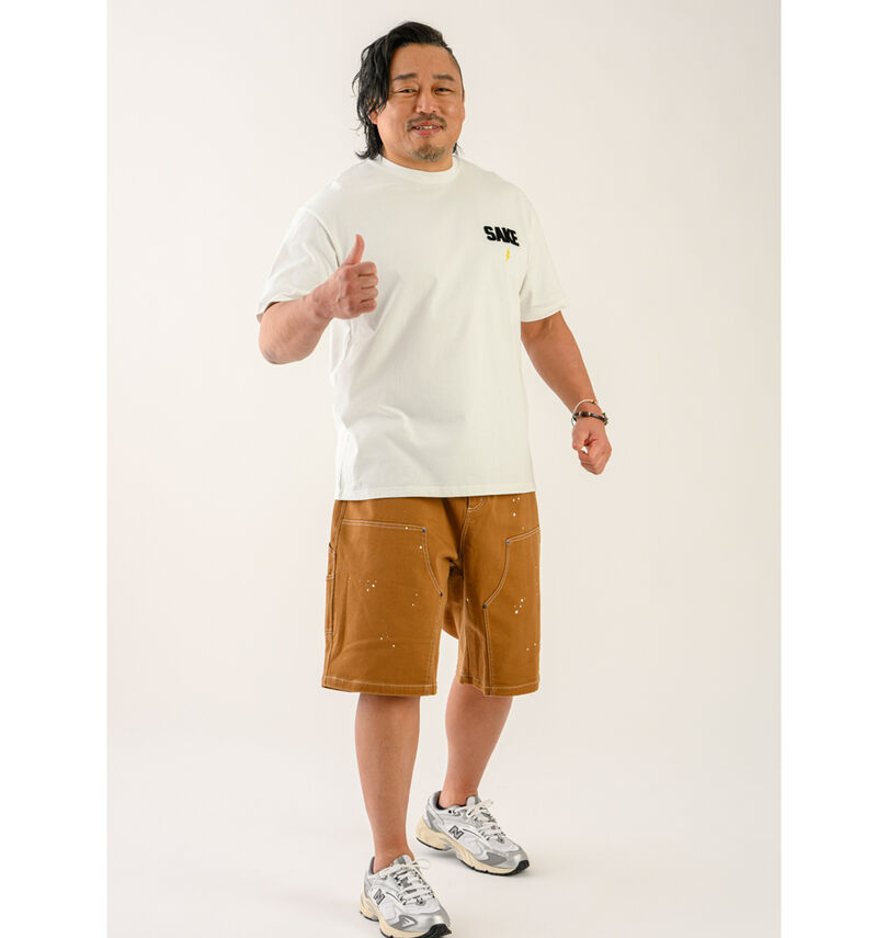 大きいサイズ メンズ DCSHOES (ディーシーシューズ) 26DOUBLE KNEE PAINTハーフパンツ
                        