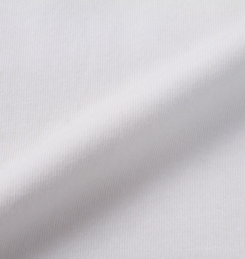 大きいサイズ メンズ LOGOS Park (ロゴスパーク) リサイクル天竺ボックスプリント半袖Tシャツ
生地拡大