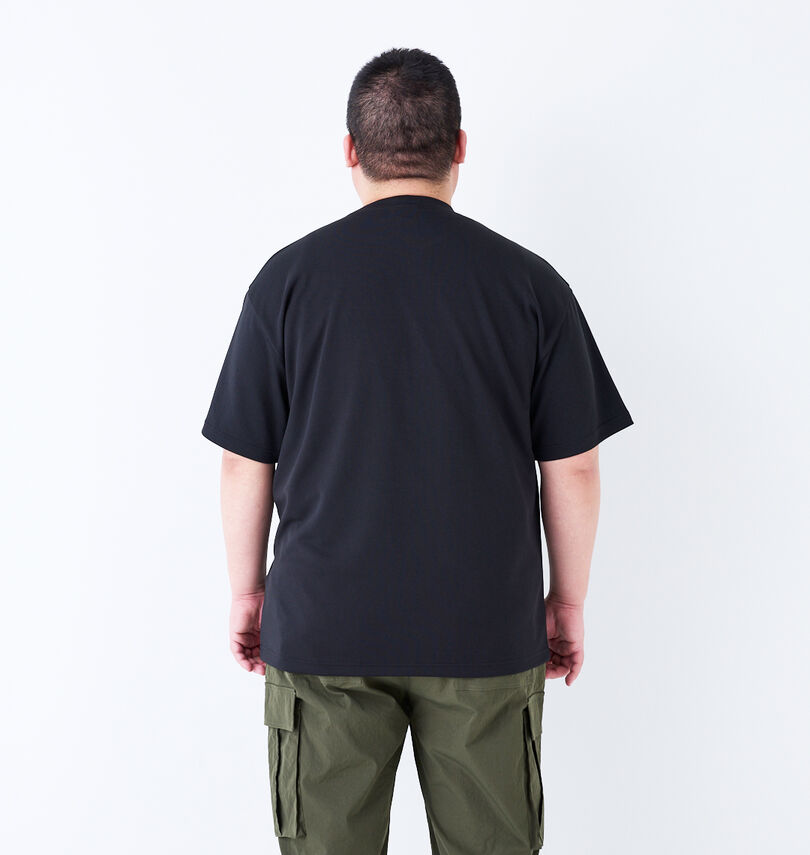 大きいサイズ メンズ 豊天 (ブーデン) プラビブタDRYハニカムメッシュ半袖Tシャツ
                        