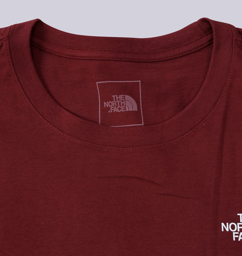 大きいサイズ メンズ THE NORTH FACE (ザ・ノース・フェイス) 半袖Tシャツ
                        
