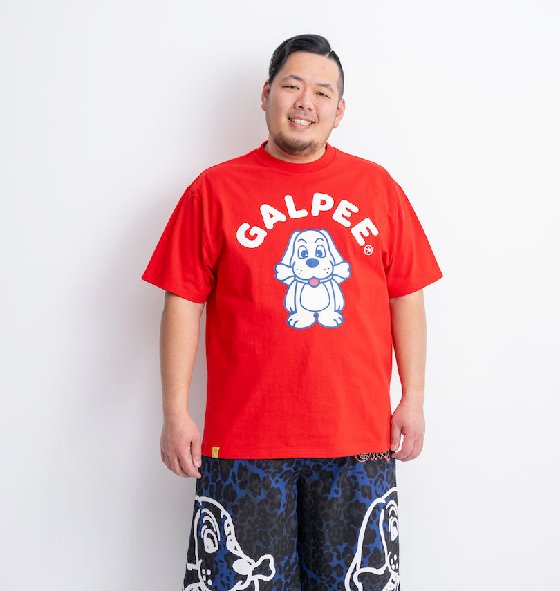 大きいサイズ メンズ GALFY (ガルフィ) GALPEE半袖Tシャツ
                        身長：178cm/バスト：120cm/着用サイズ：3L