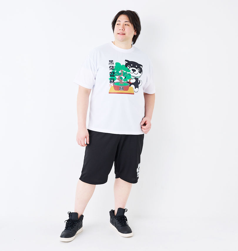 大きいサイズ メンズ 黒柴印和んこ堂 (クロシバジルシワンコドウ) 盆栽半袖Tシャツ+ハーフパンツ
                        身長：182cm/B：123cm/W：114cm/着用サイズ：3L