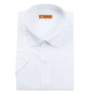 Franco Rosati セミワイドカラー半袖シャツ