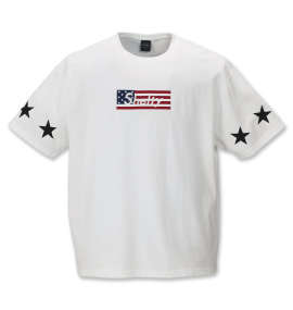 大きいサイズ メンズ SHELTY (シェルティ) 星条旗BOXロゴ刺繍半袖Tシャツ
