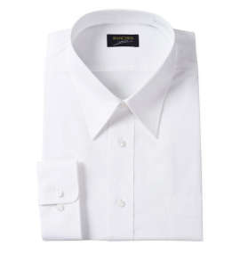 大きいサイズ メンズ MANCHES COLLECTION (マンチェス) レギュラーカラー長袖シャツ