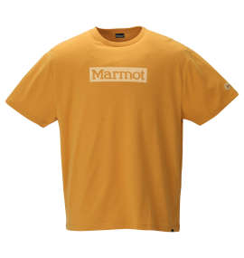 大きいサイズ メンズ Marmot (マーモット) スクエアロゴ半袖Tシャツ